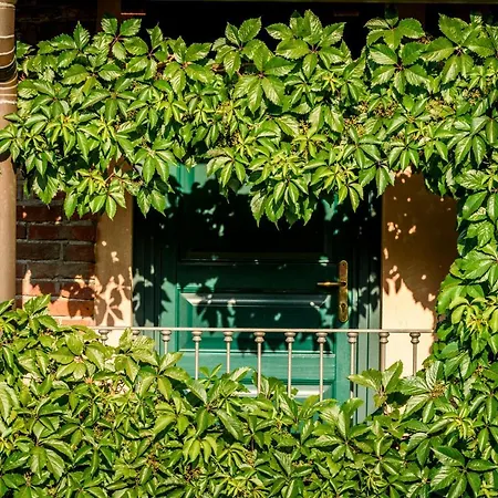 Casa de hóspedes Cantina Anzivino - Gattinara