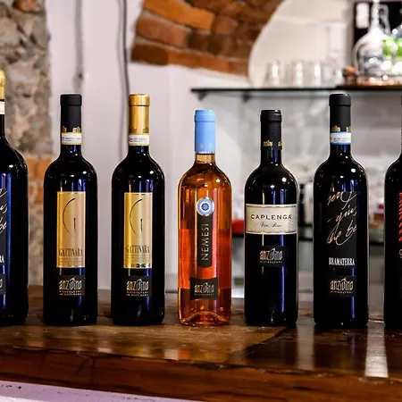 Cantina Anzivino - Gattinara