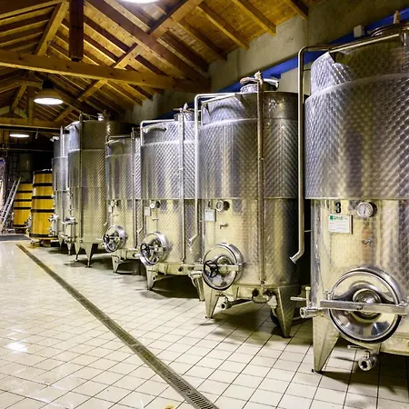 Cantina Anzivino - Casa de hóspedes