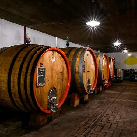 Gasthuis Cantina Anzivino - Gattinara